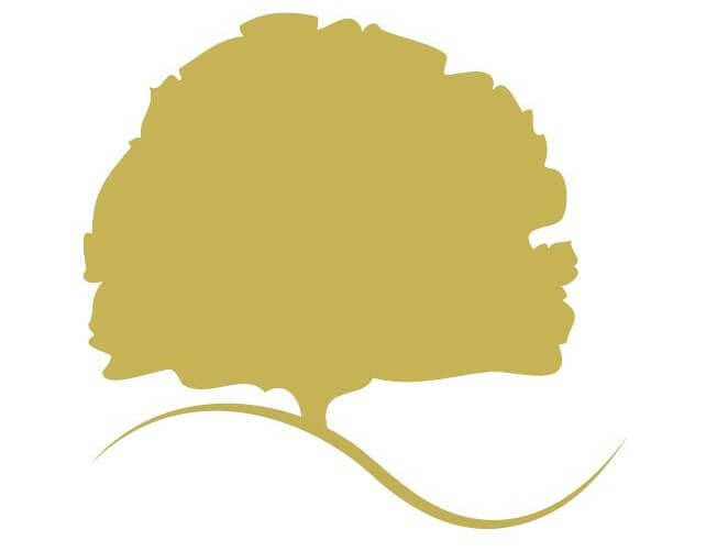 Oak Wealth Planning logo